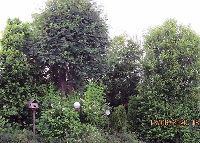 Prázdninový dům Casa Roja Hilders